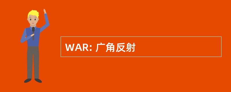 WAR: 广角反射