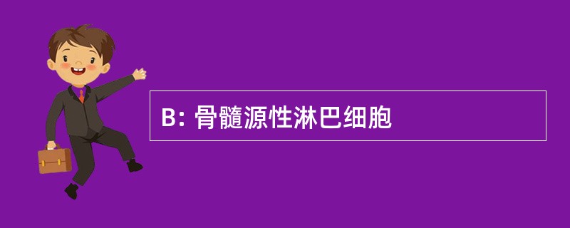 B: 骨髓源性淋巴细胞