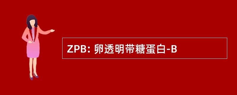 ZPB: 卵透明带糖蛋白-B