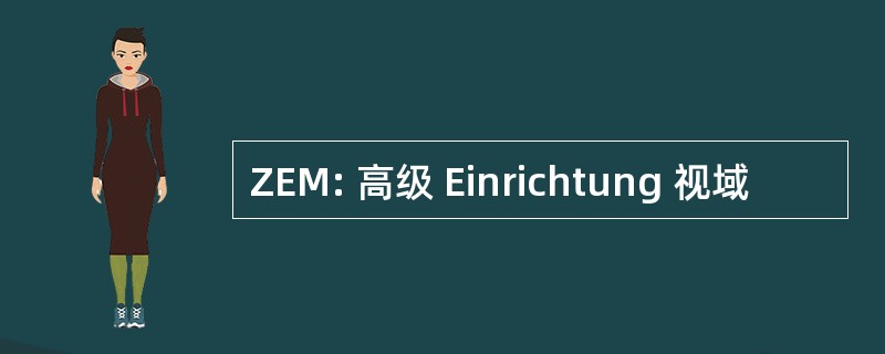 ZEM: 高级 Einrichtung 视域