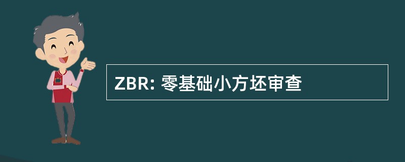 ZBR: 零基础小方坯审查