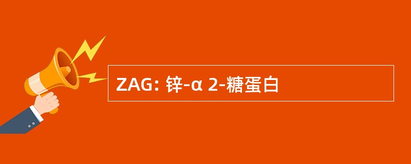 ZAG: 锌-α 2-糖蛋白