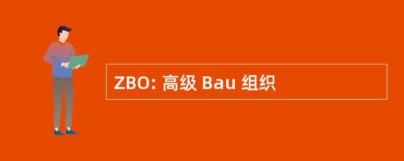 ZBO: 高级 Bau 组织