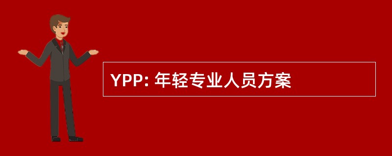 YPP: 年轻专业人员方案