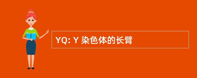 YQ: Y 染色体的长臂