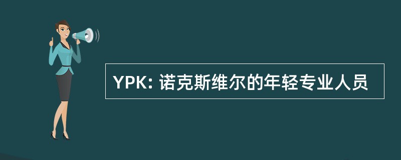 YPK: 诺克斯维尔的年轻专业人员