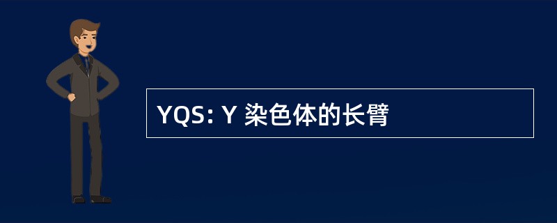 YQS: Y 染色体的长臂