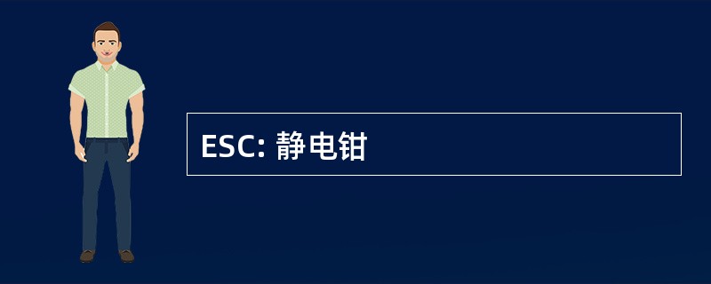 ESC: 静电钳