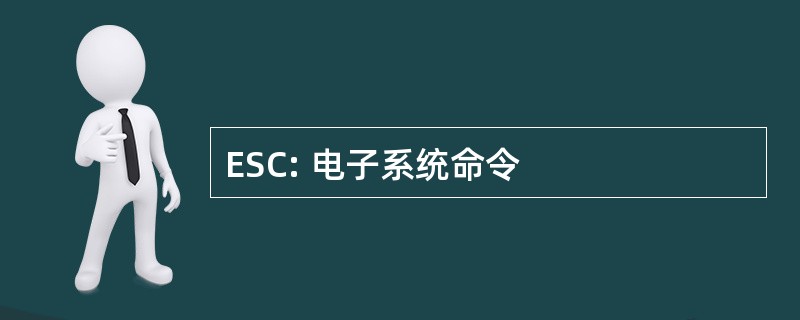 ESC: 电子系统命令