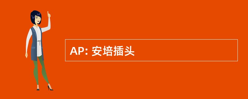 AP: 安培插头