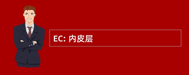 EC: 内皮层