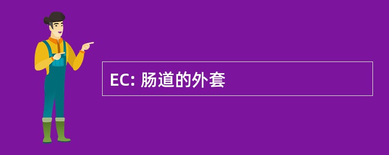 EC: 肠道的外套