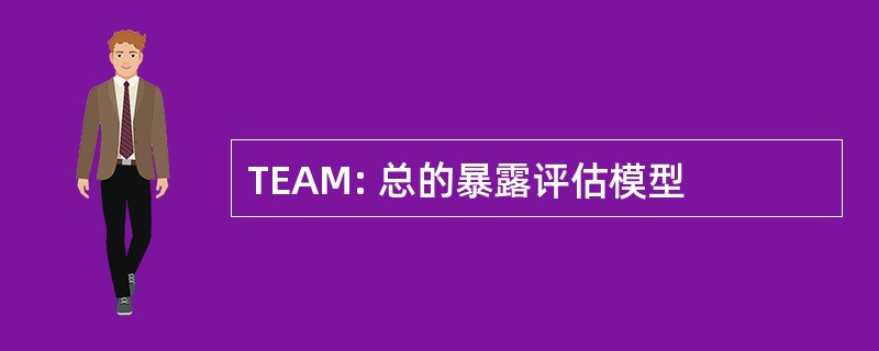 TEAM: 总的暴露评估模型