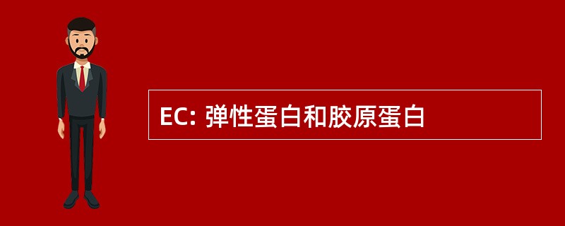 EC: 弹性蛋白和胶原蛋白