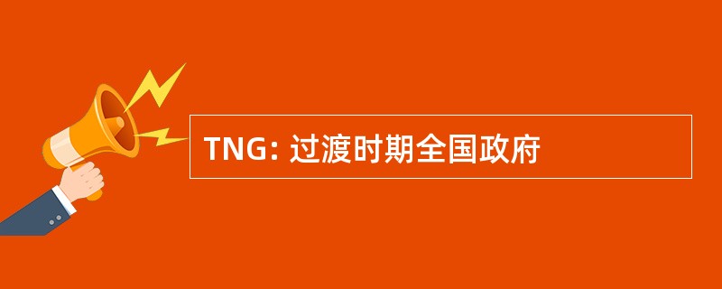 TNG: 过渡时期全国政府