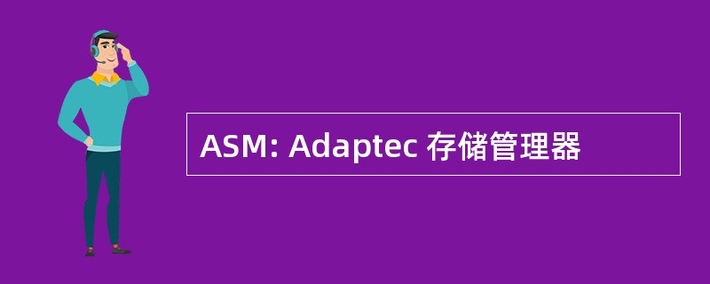 ASM: Adaptec 存储管理器