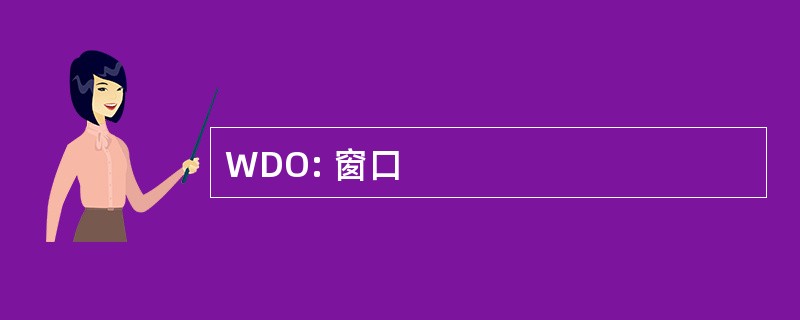 WDO: 窗口