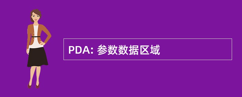 PDA: 参数数据区域