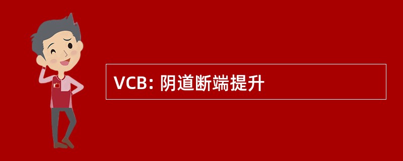 VCB: 阴道断端提升