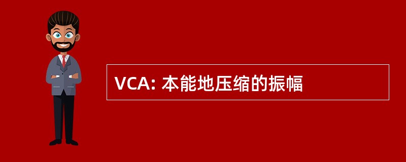 VCA: 本能地压缩的振幅