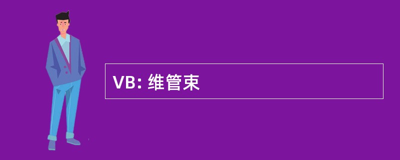 VB: 维管束