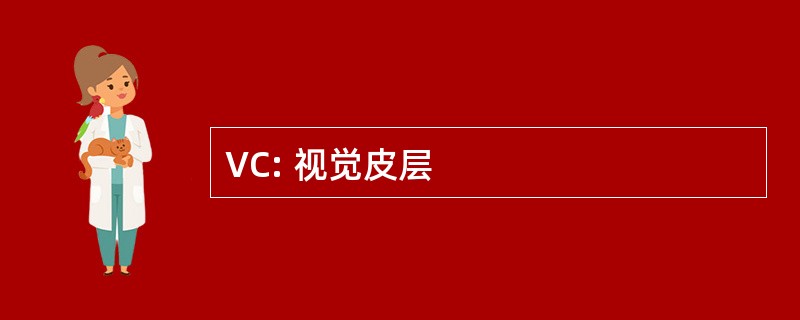 VC: 视觉皮层