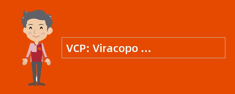 VCP: Viracopo 机场，圣保罗，巴西圣保罗，巴西