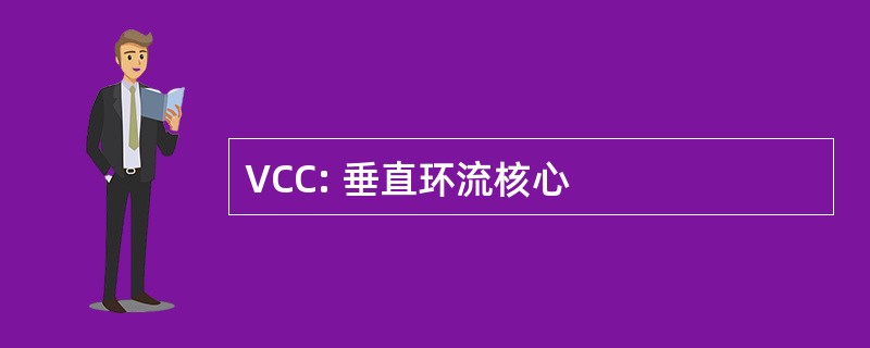 VCC: 垂直环流核心