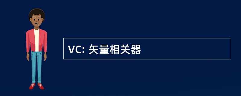 VC: 矢量相关器