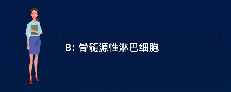 B: 骨髓源性淋巴细胞