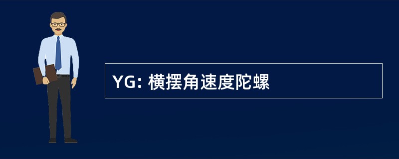 YG: 横摆角速度陀螺