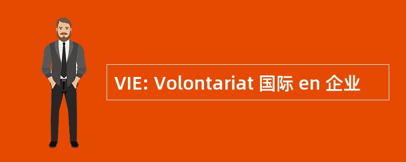 VIE: Volontariat 国际 en 企业