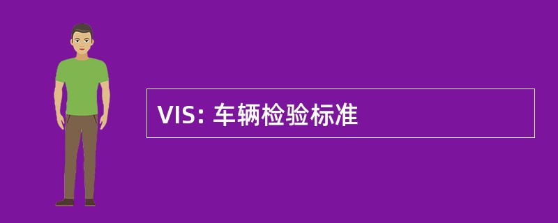 VIS: 车辆检验标准