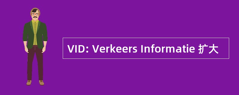 VID: Verkeers Informatie 扩大