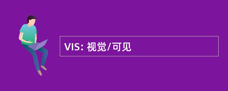 VIS: 视觉/可见