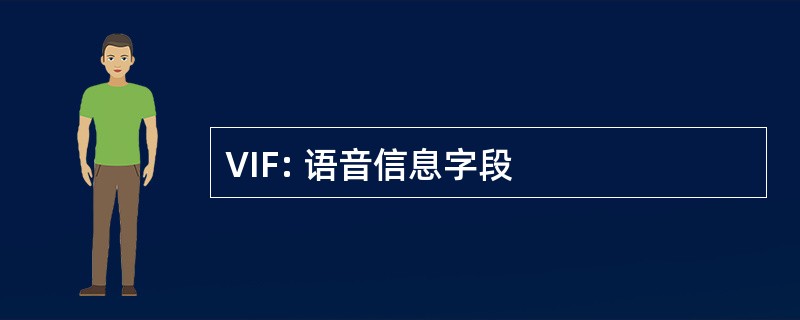 VIF: 语音信息字段