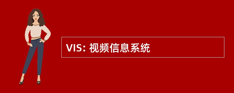 VIS: 视频信息系统