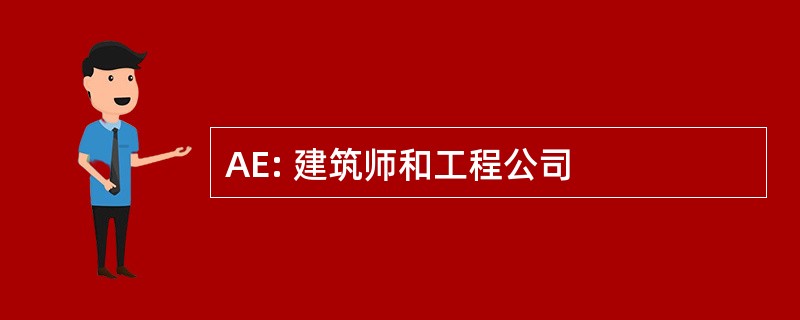 AE: 建筑师和工程公司