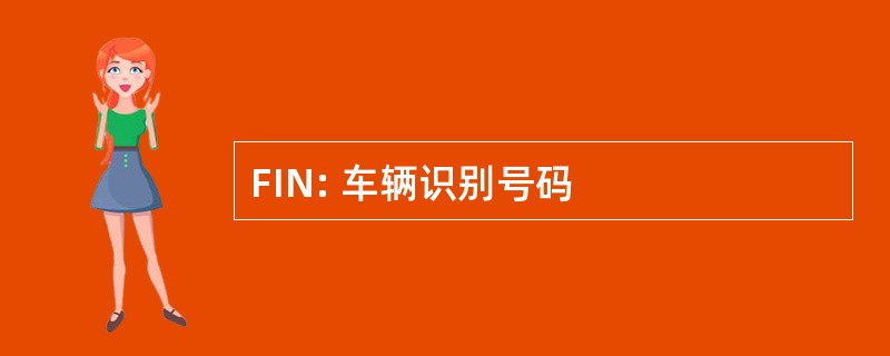 FIN: 车辆识别号码