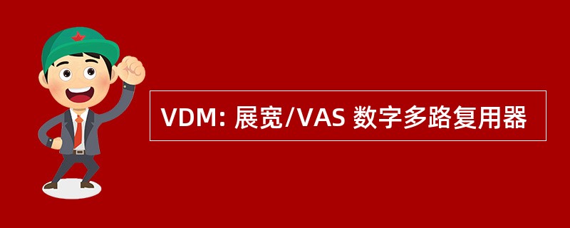 VDM: 展宽/VAS 数字多路复用器