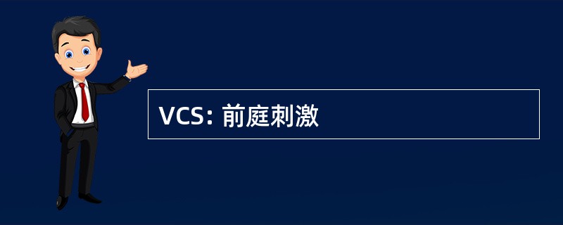 VCS: 前庭刺激