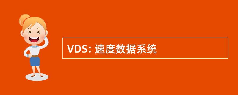 VDS: 速度数据系统