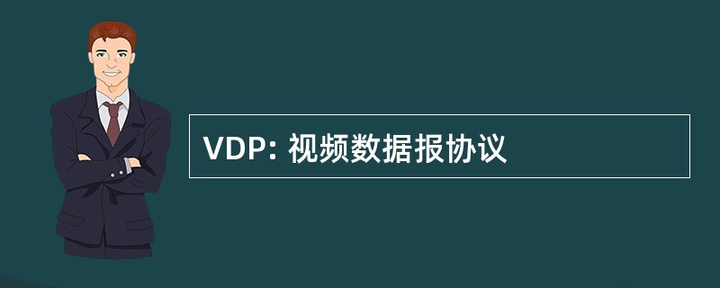 VDP: 视频数据报协议