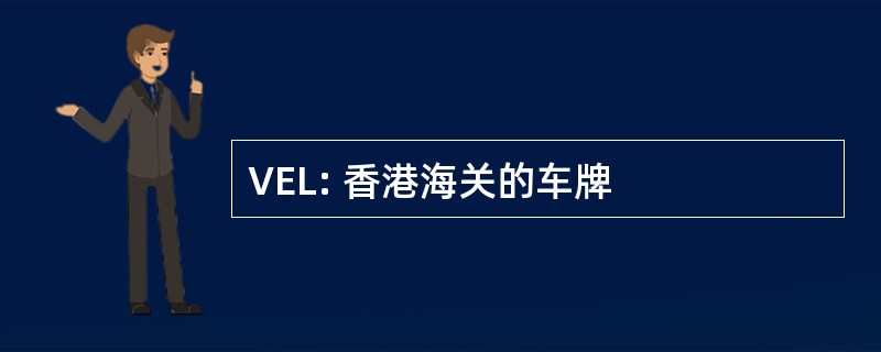 VEL: 香港海关的车牌