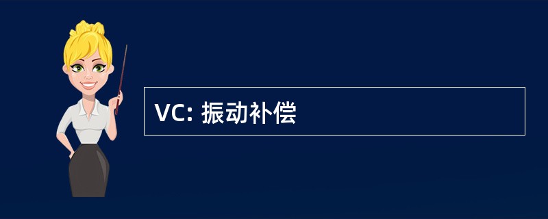 VC: 振动补偿