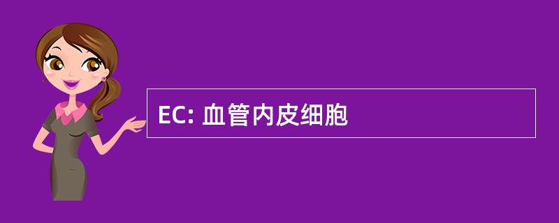 EC: 血管内皮细胞