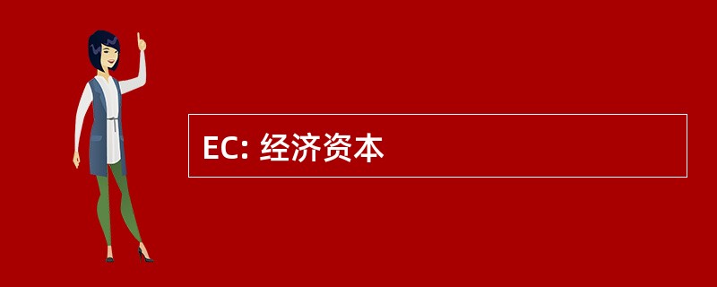 EC: 经济资本