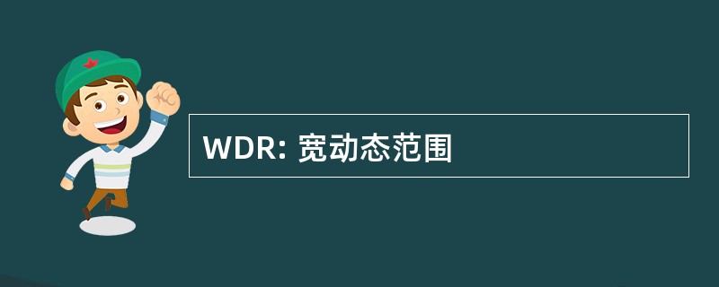 WDR: 宽动态范围