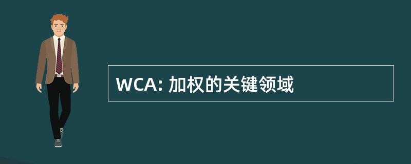 WCA: 加权的关键领域