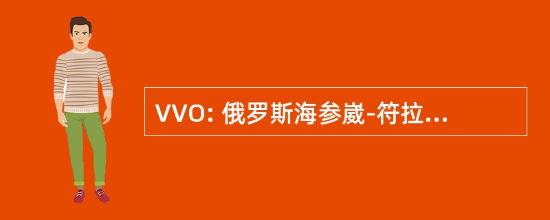 VVO: 俄罗斯海参崴-符拉迪沃斯托克机场